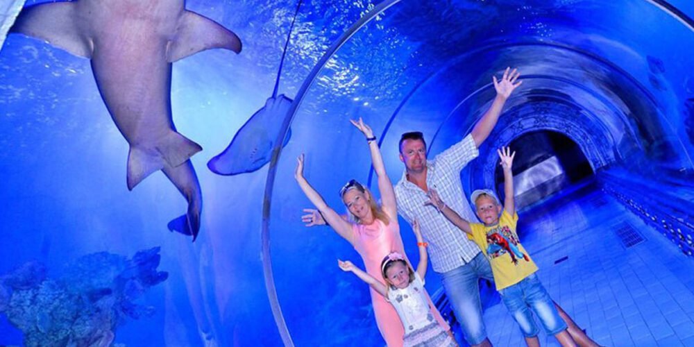 O-Hurghada Grand Aquarium - Image 6