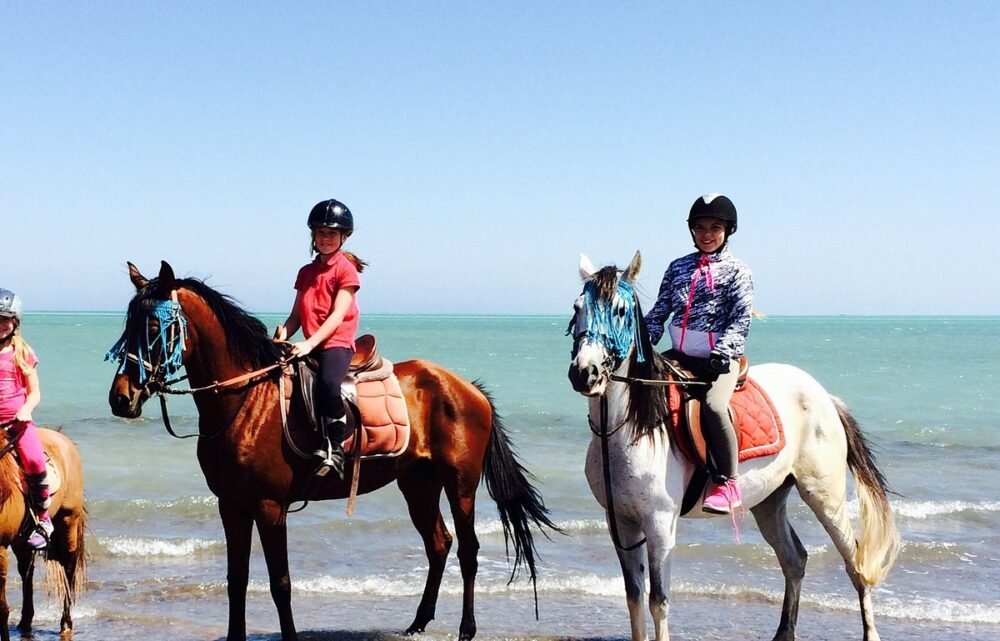 M-Horse Riding 3 Hours - Image 4