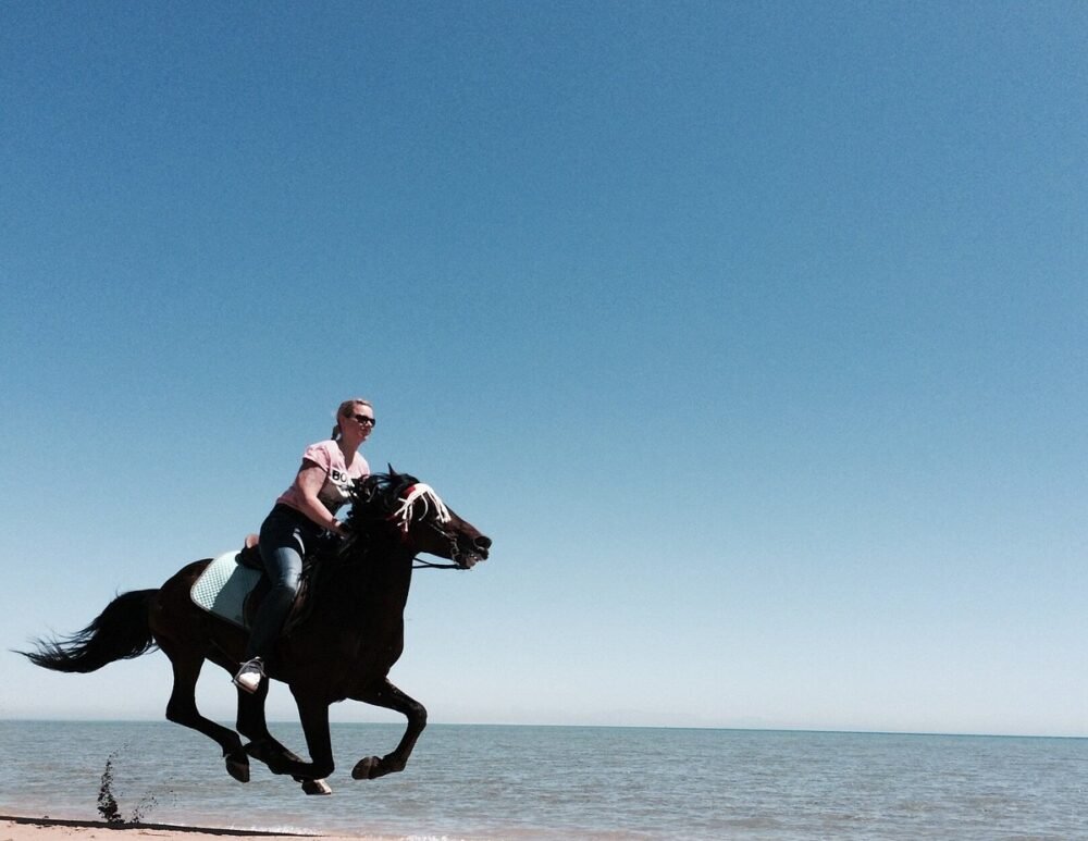 M-Horse Riding 3 Hours - Image 10