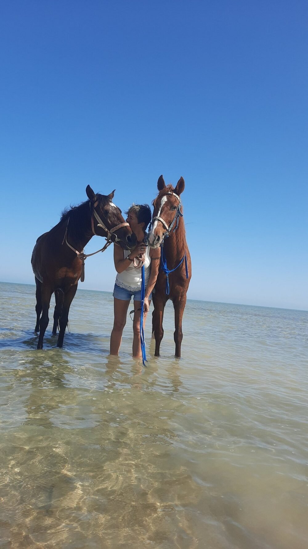 M-Horse Riding 3 Hours - Image 14